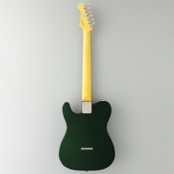 フジゲン テレキャスター Neo Classic Series Amazon | FUJIGEN Neo Classic SERIES NTE100MAHT-WB/01 エレキ
